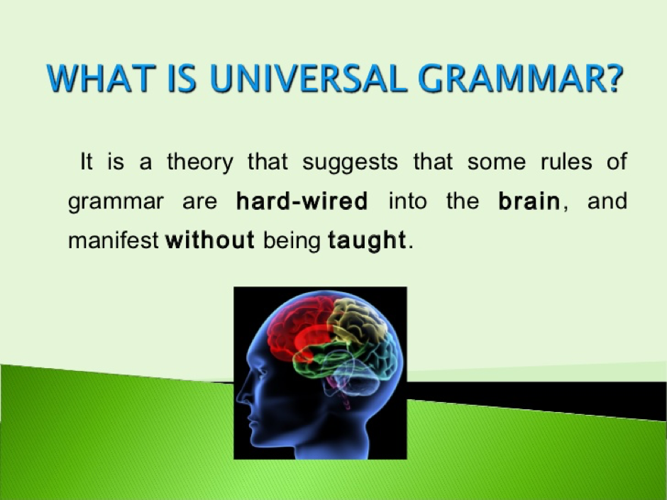 Lalkar Critique Of The Linguistic Theory Of Noam Chomsky